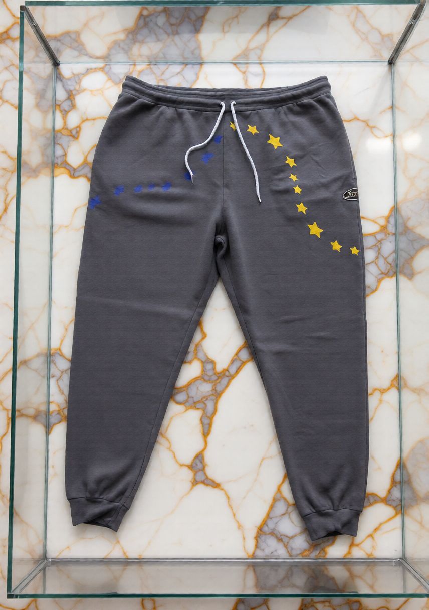 Jatini- One of one jogger pants