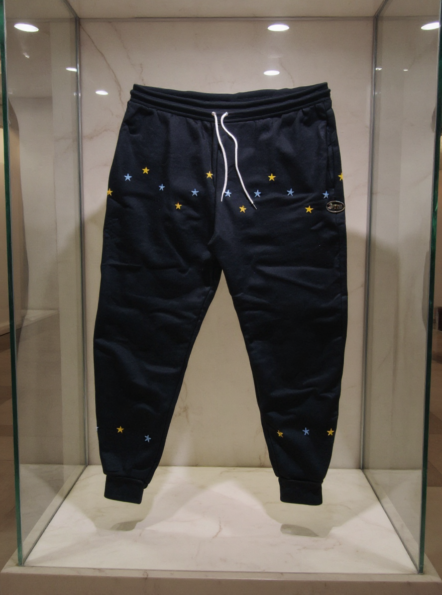 Jatini- One of one jogger pants