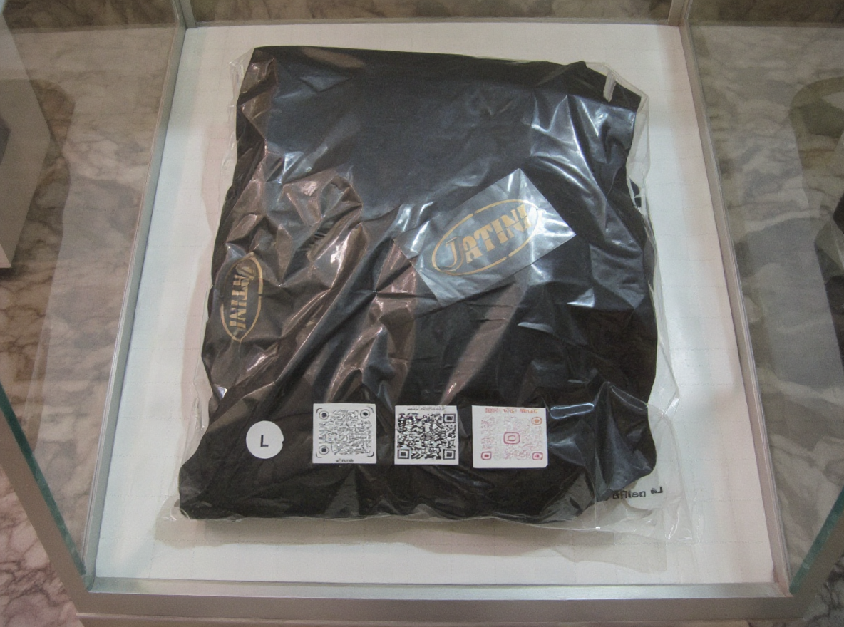 Jatini- One of one jogger pants