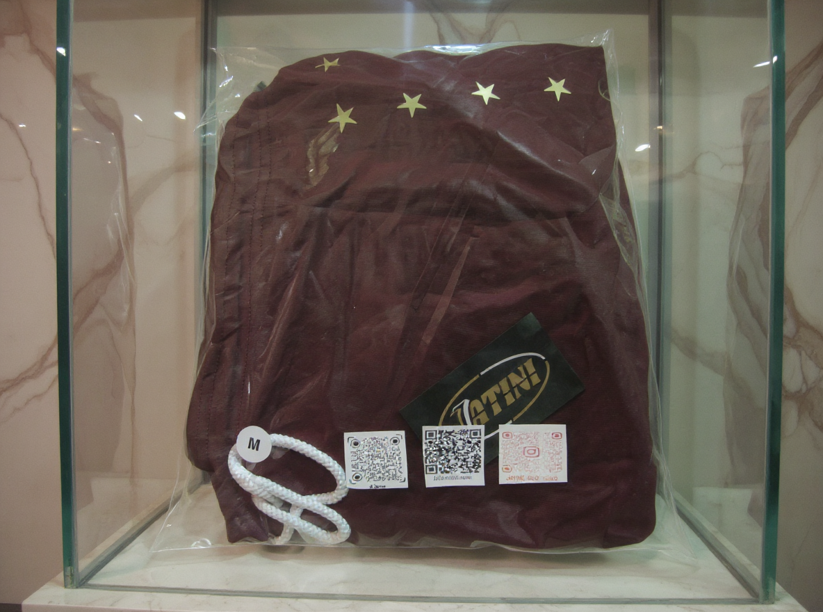 Jatini- One of one reflective jogger pants