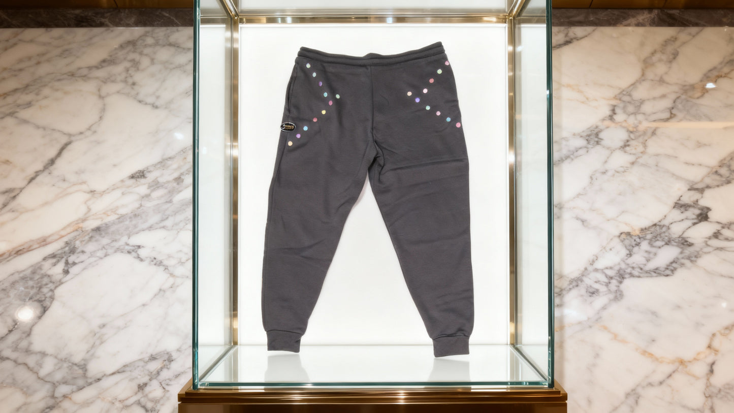 Jatini- One of one reflective jogger