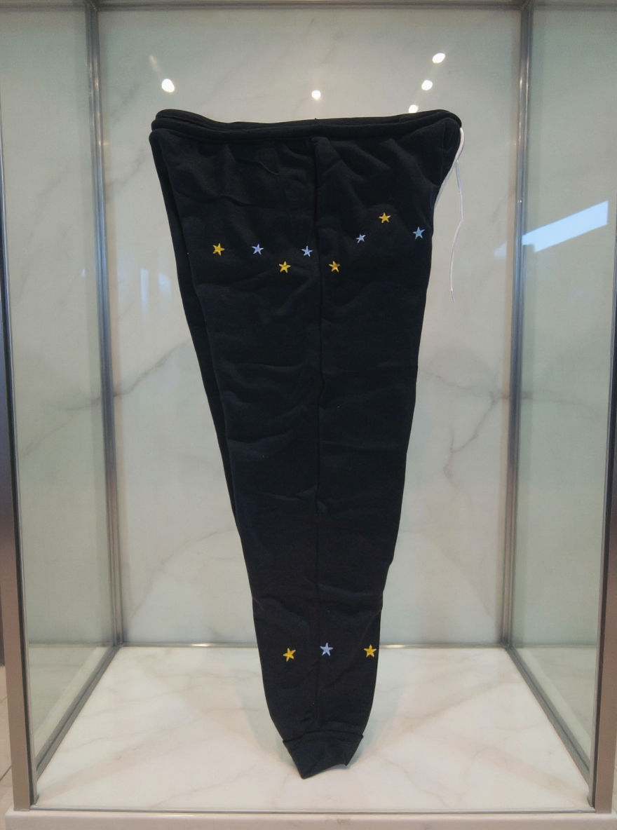 Jatini- One of one jogger pants