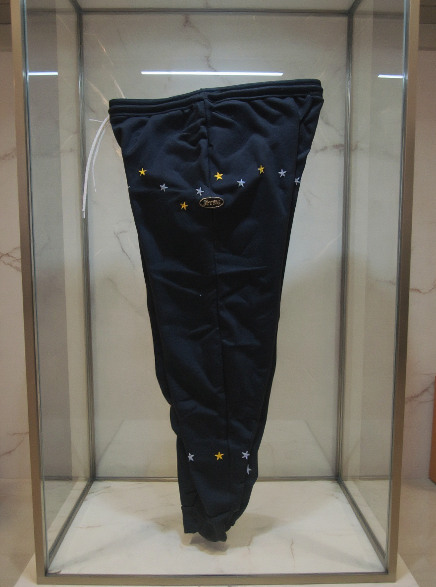 Jatini- One of one jogger pants