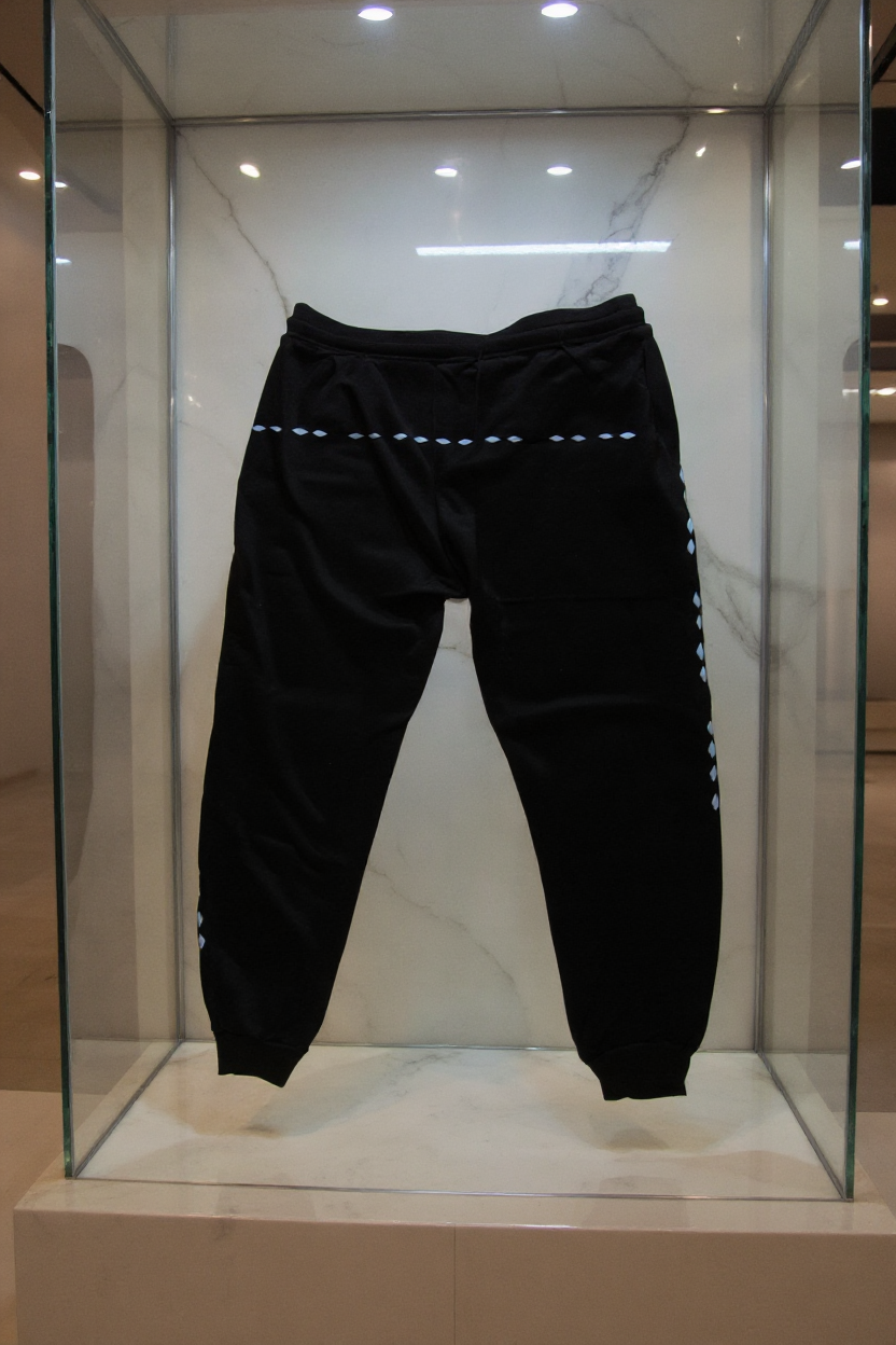 Jatini- One of one jogger pants