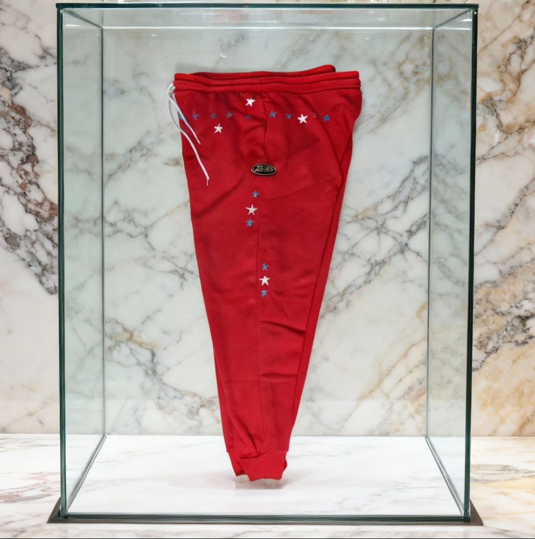 Jatini-One of one jogger pants