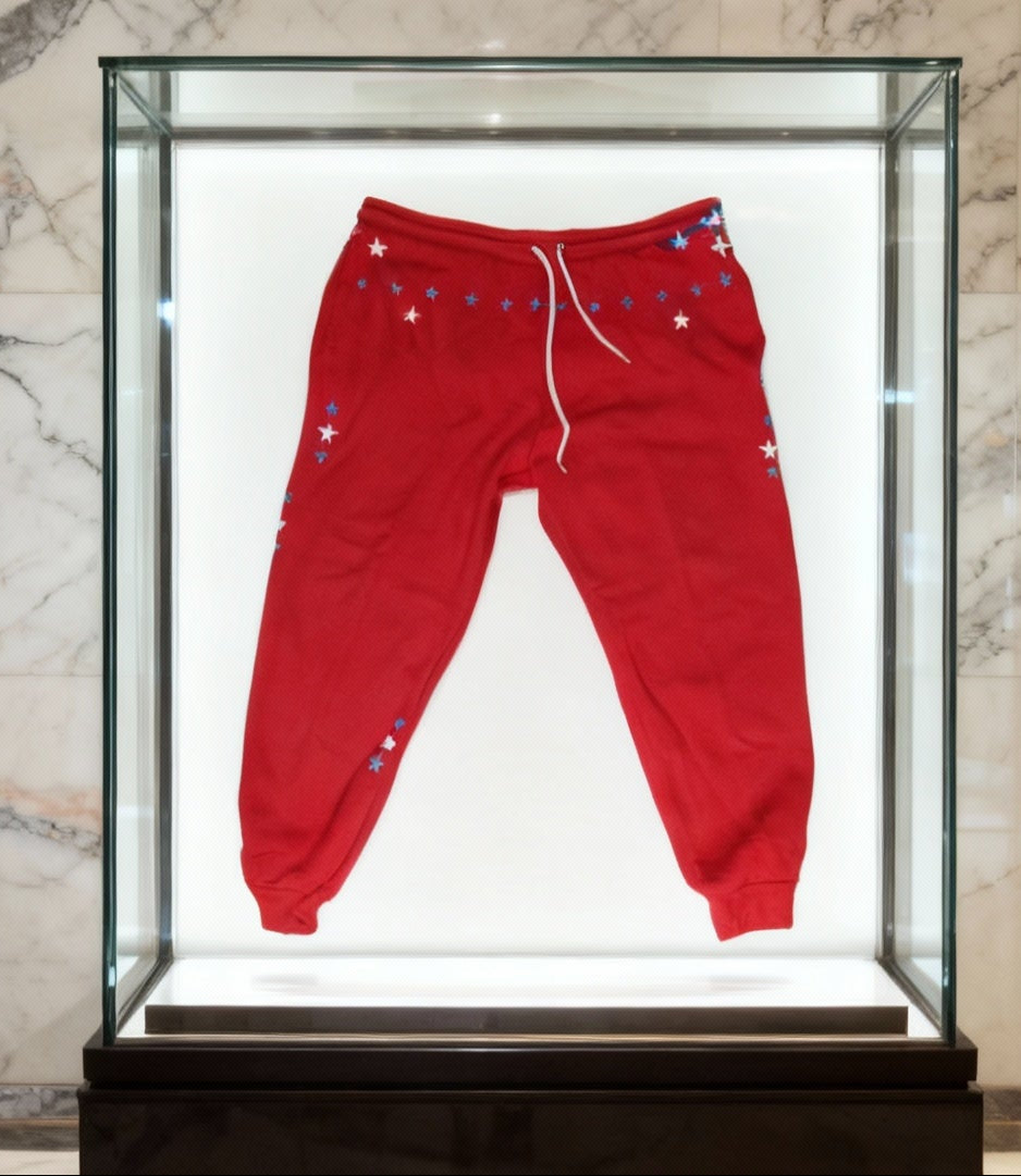 Jatini-One of one jogger pants