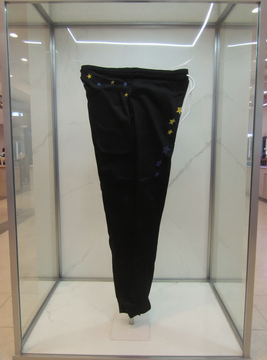 Jatini- One of one jogger pants