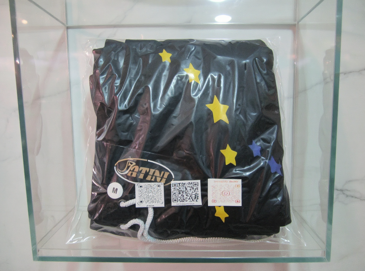 Jatini- One of one jogger pants