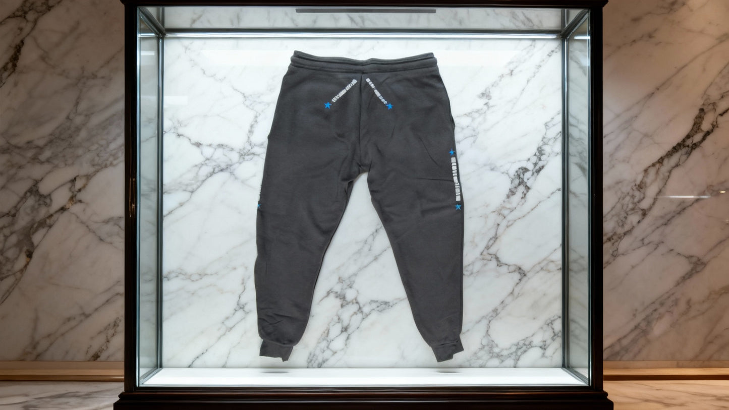 Jatini- One of one jogger pants