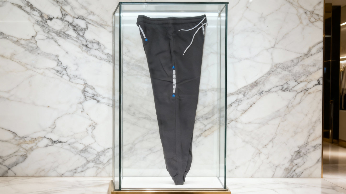 Jatini- One of one jogger pants