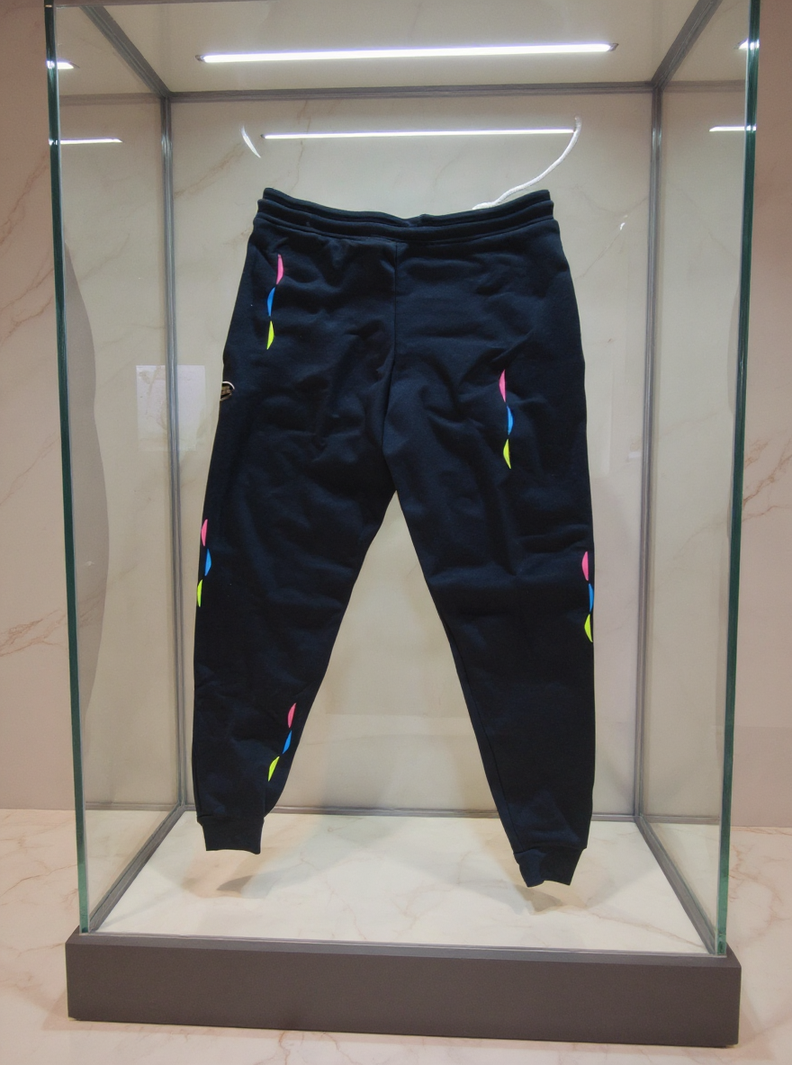 Jatini- One of one jogger pants