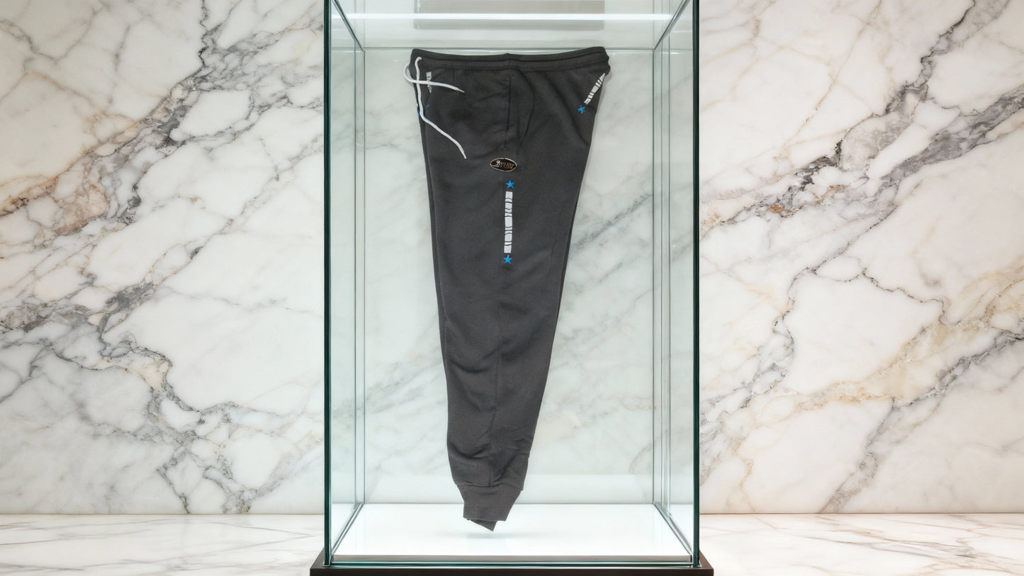 Jatini- One of one jogger pants