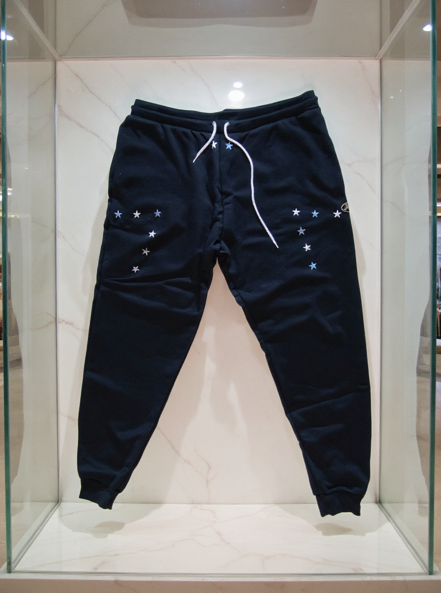 Jatini- One of one jogger pants