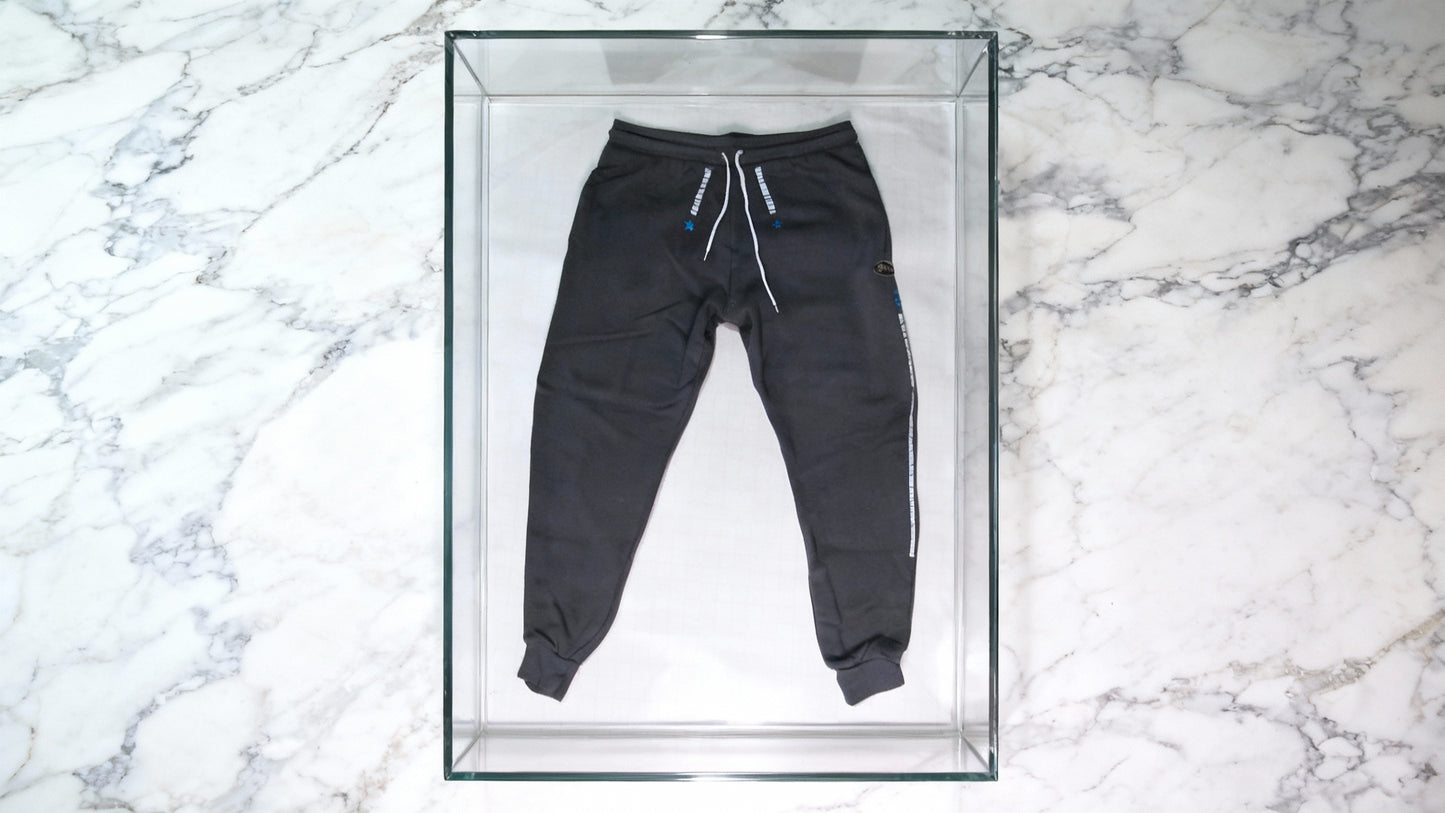 Jatini- One of one jogger pants
