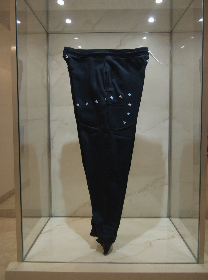 Jatini- One of one jogger pants