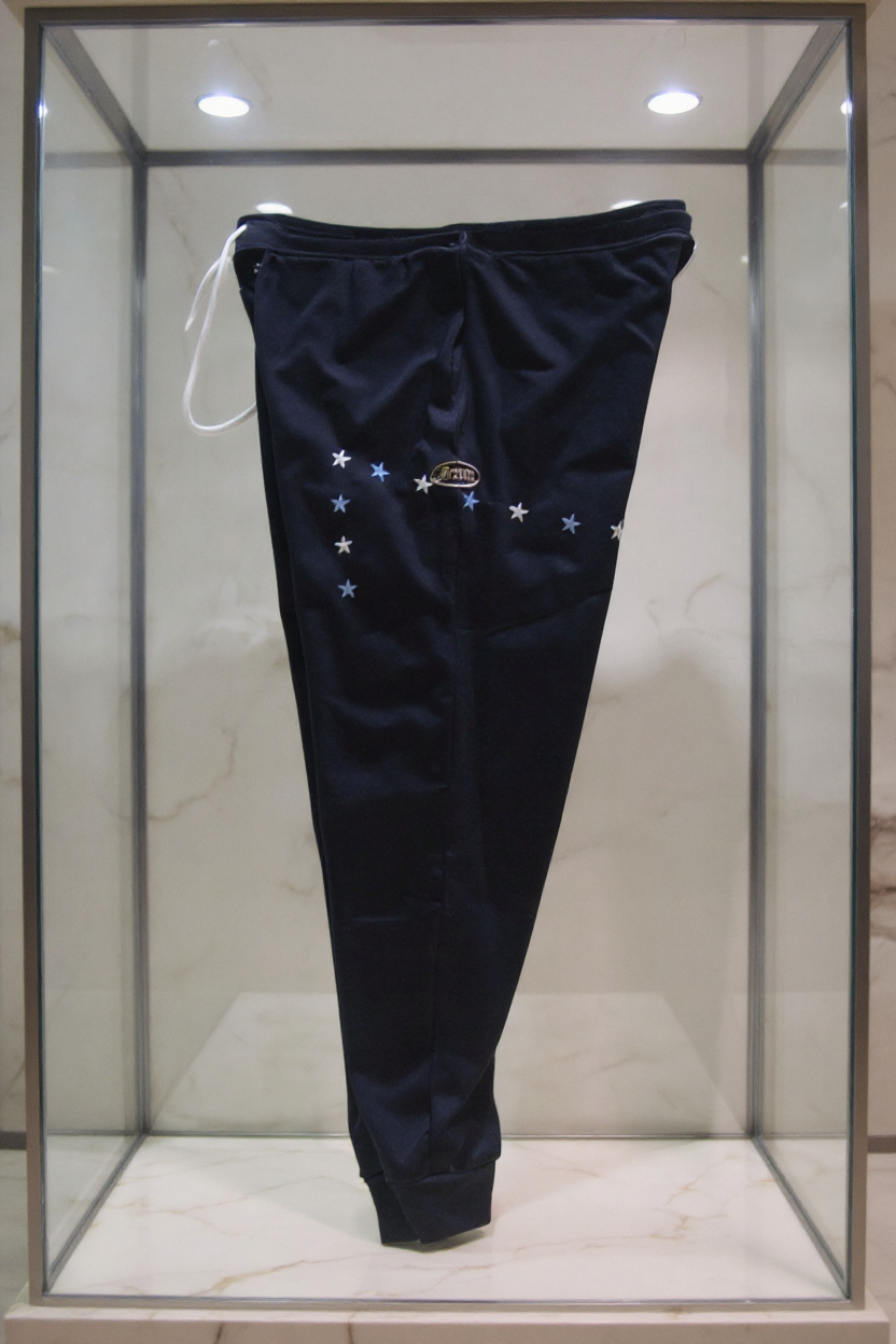 Jatini- One of one jogger pants