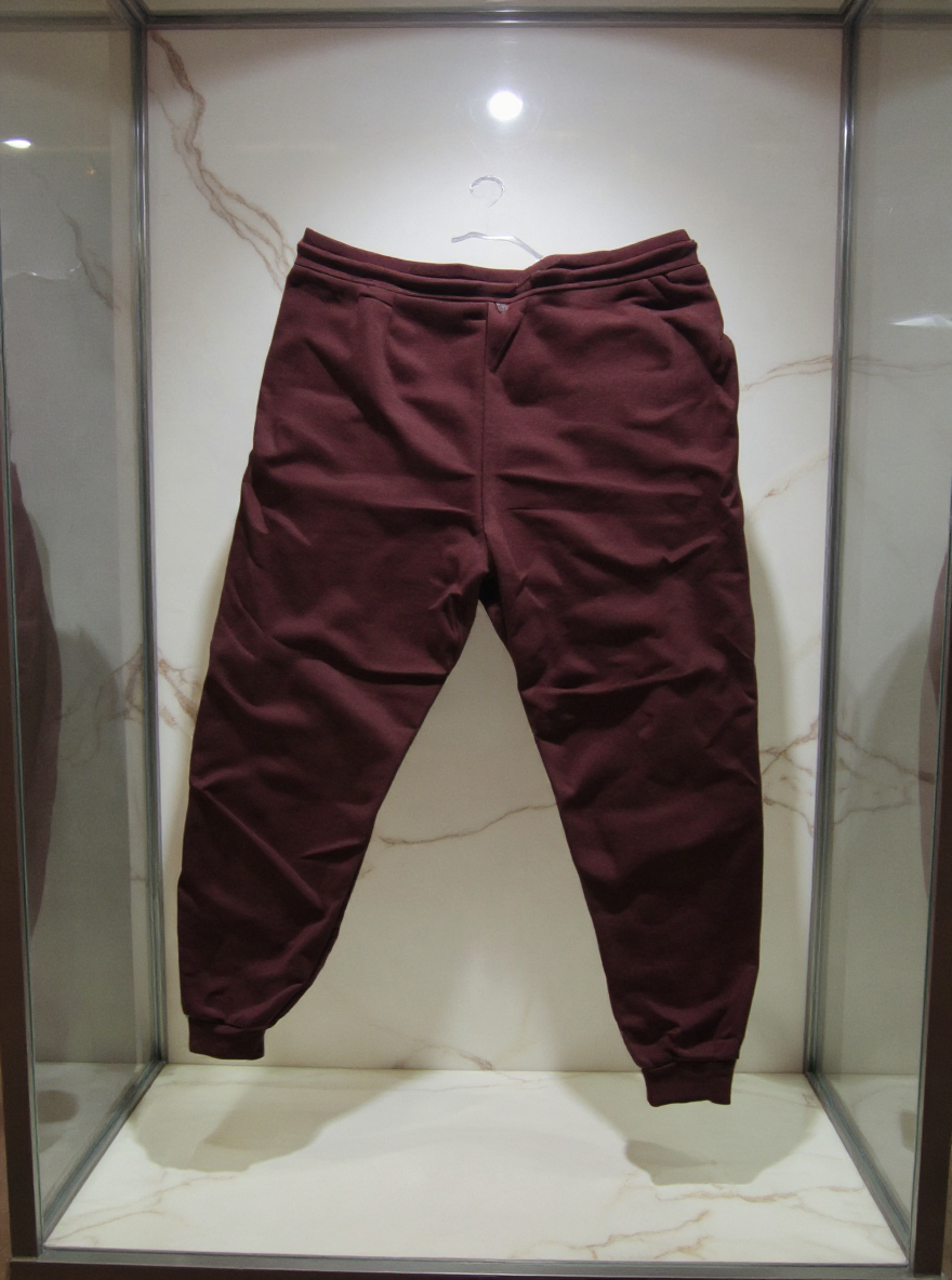 Jatini-One of one jogger pants