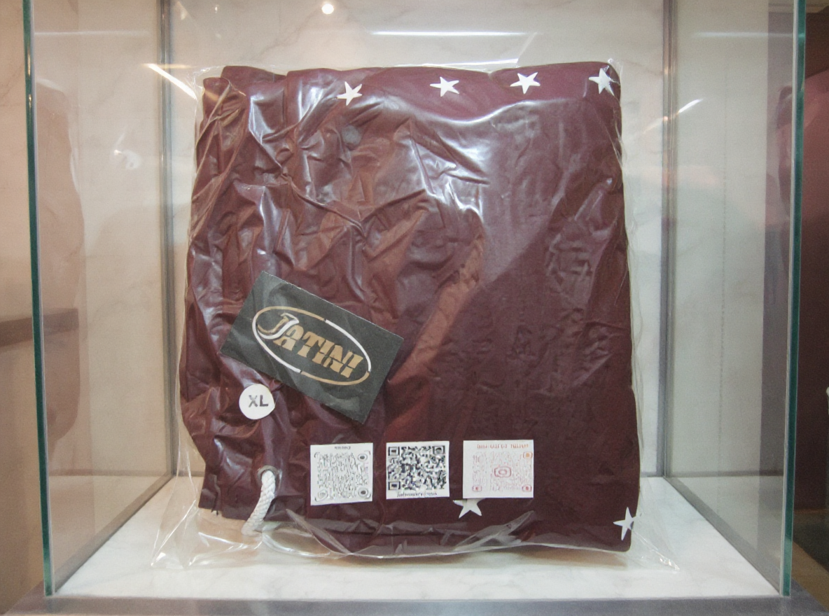 Jatini-One of one jogger pants