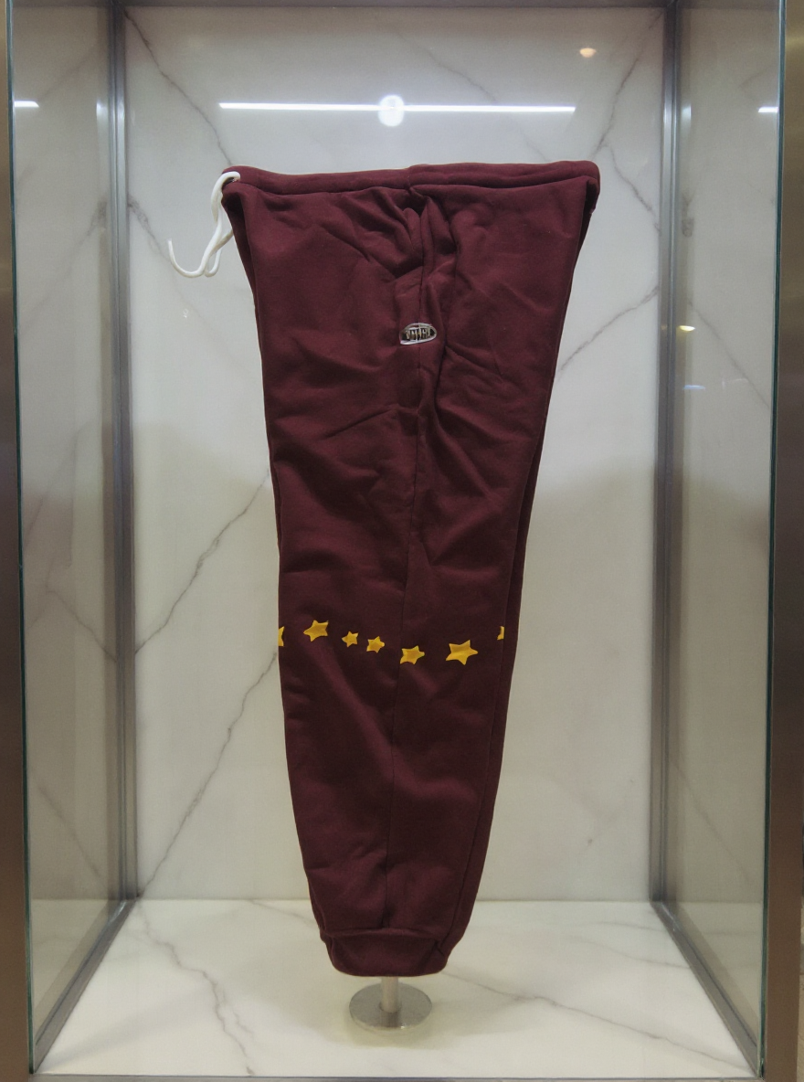 Jatini one of one jogger pants