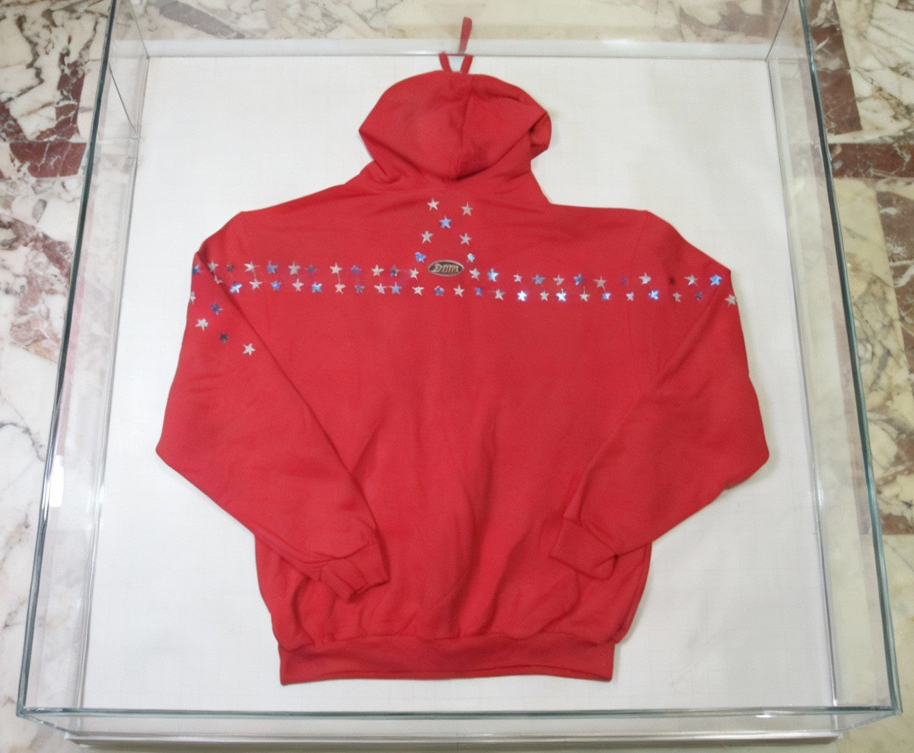 jatini-One of one designer hoodie