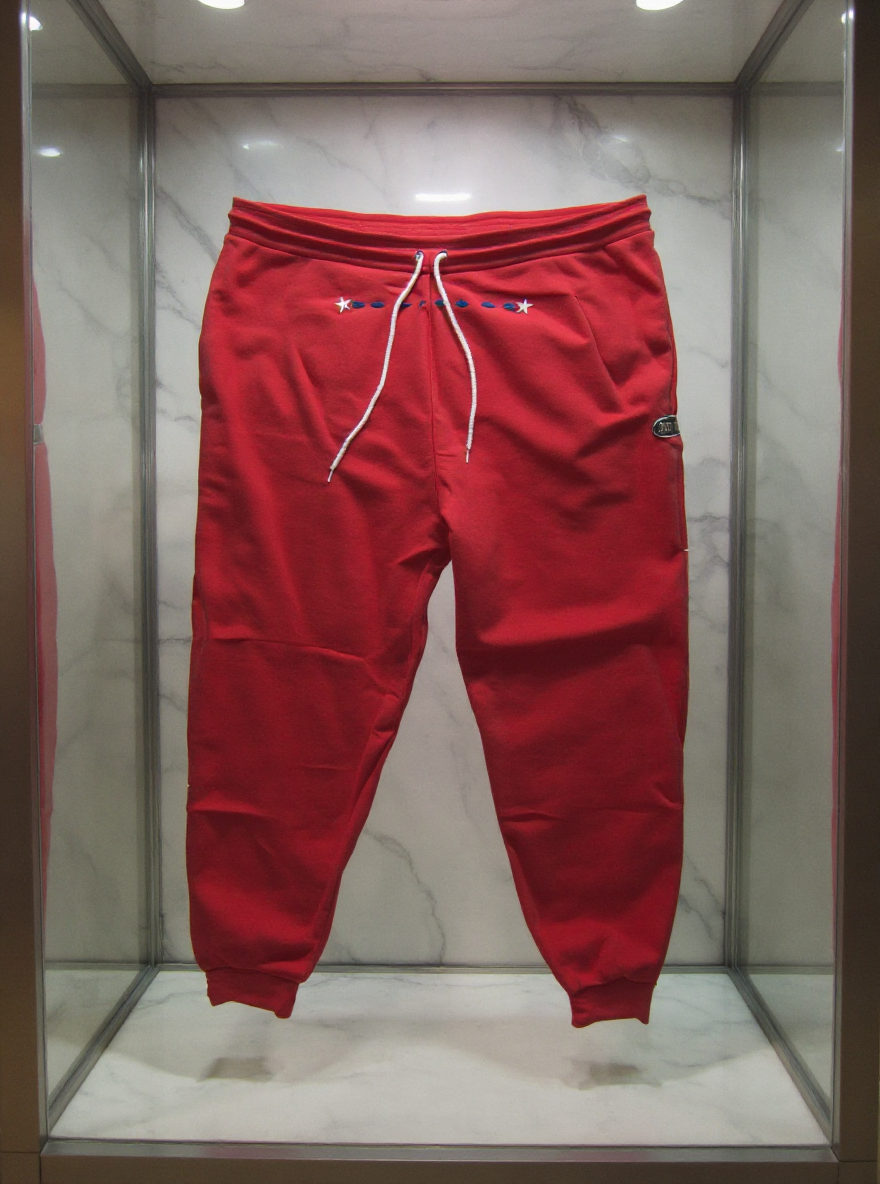 Jatini- One of one jogger pants