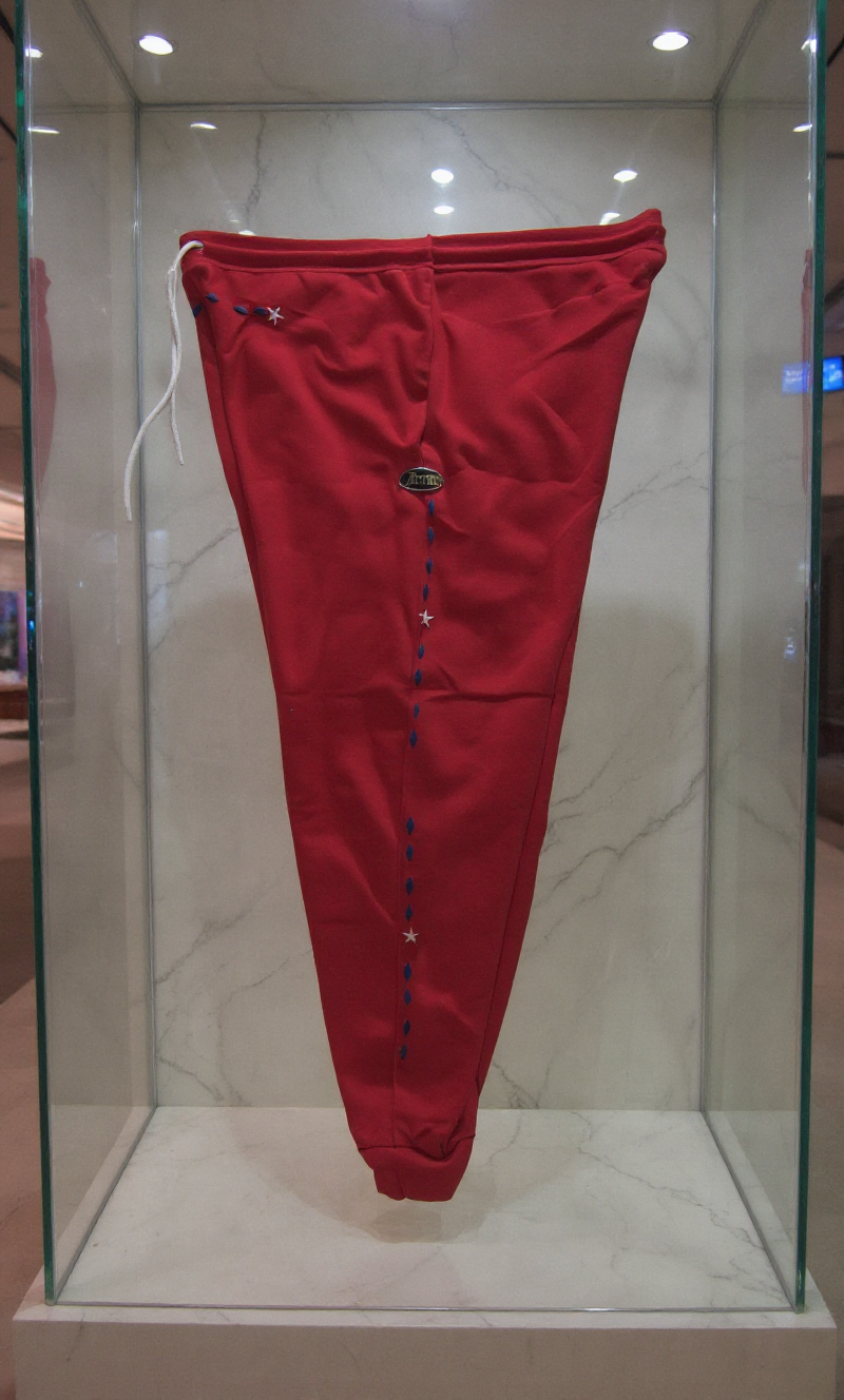 Jatini- One of one jogger pants