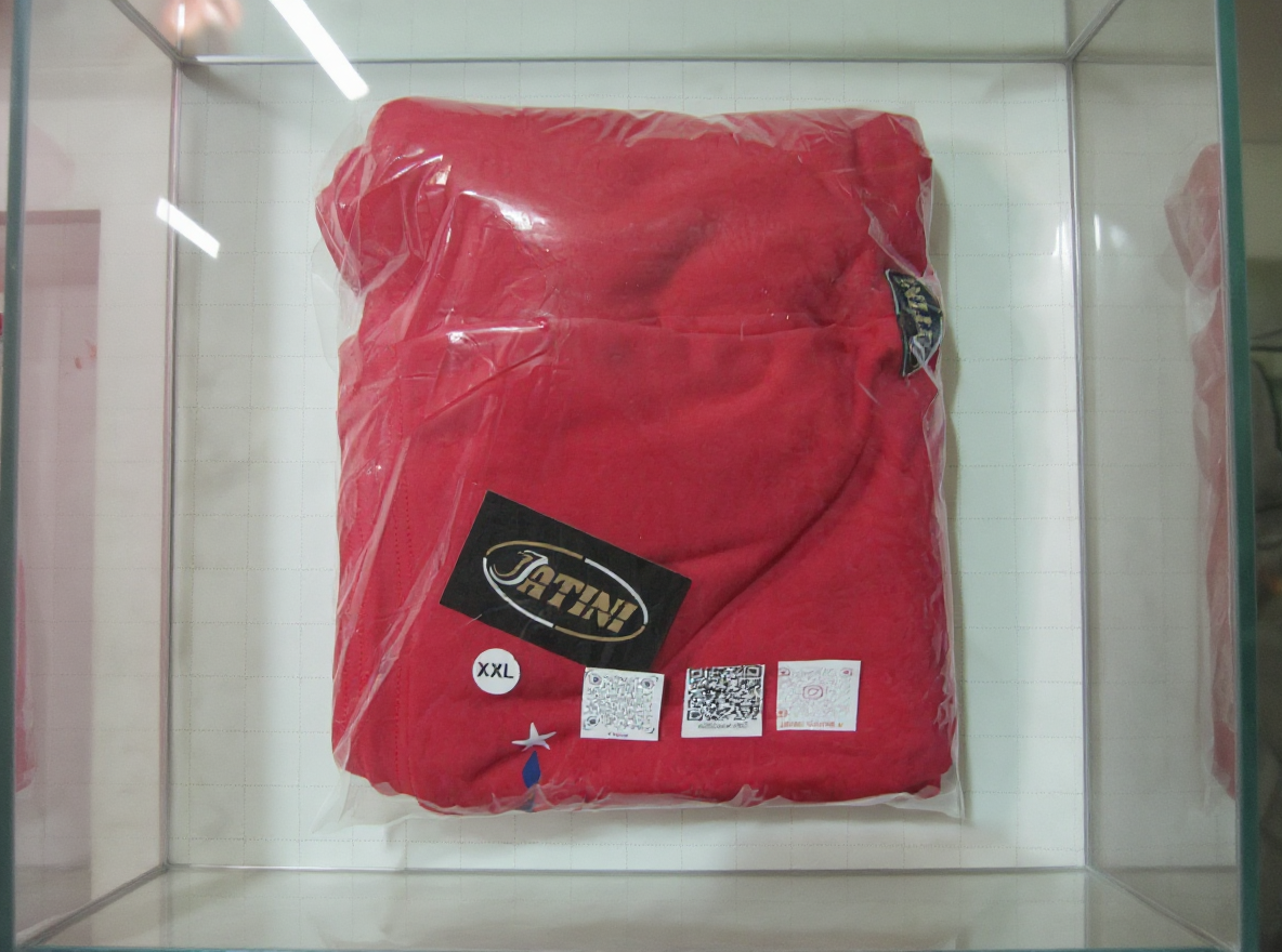 Jatini- One of one jogger pants