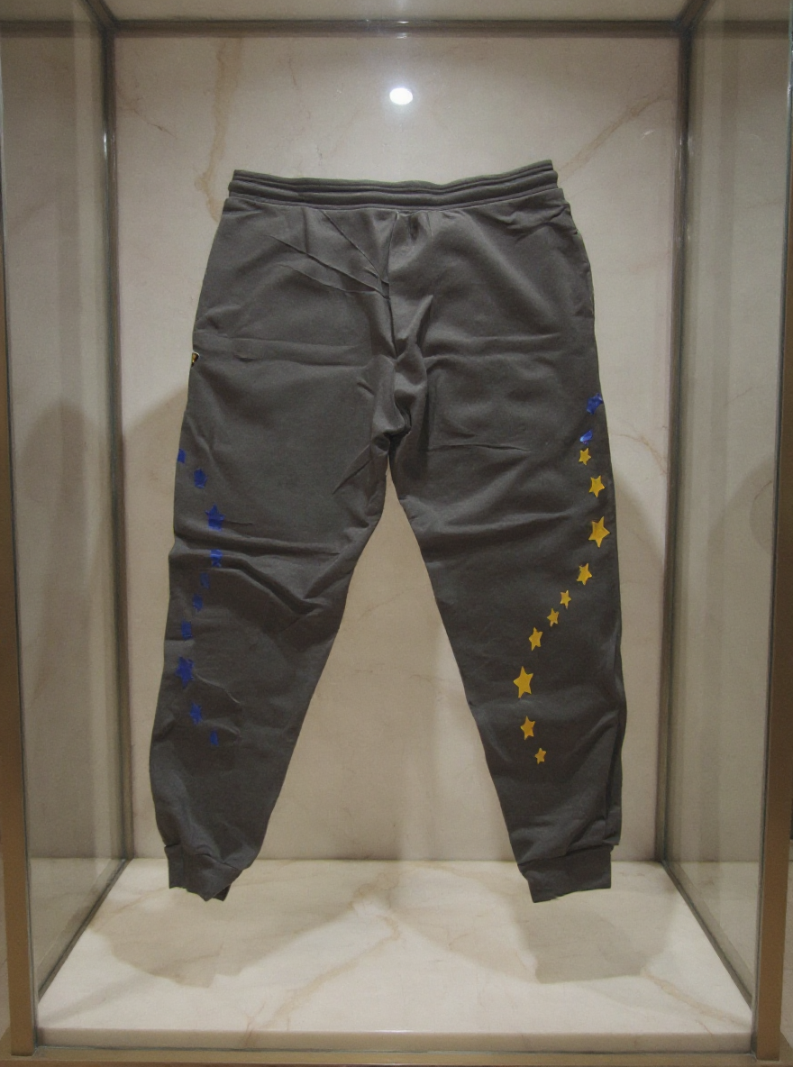 Jatini- One of one jogger pants