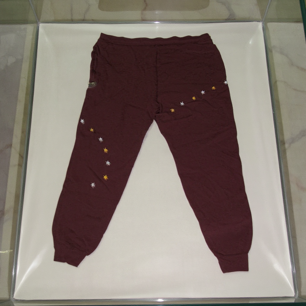 Jatini- One of one jogger pants