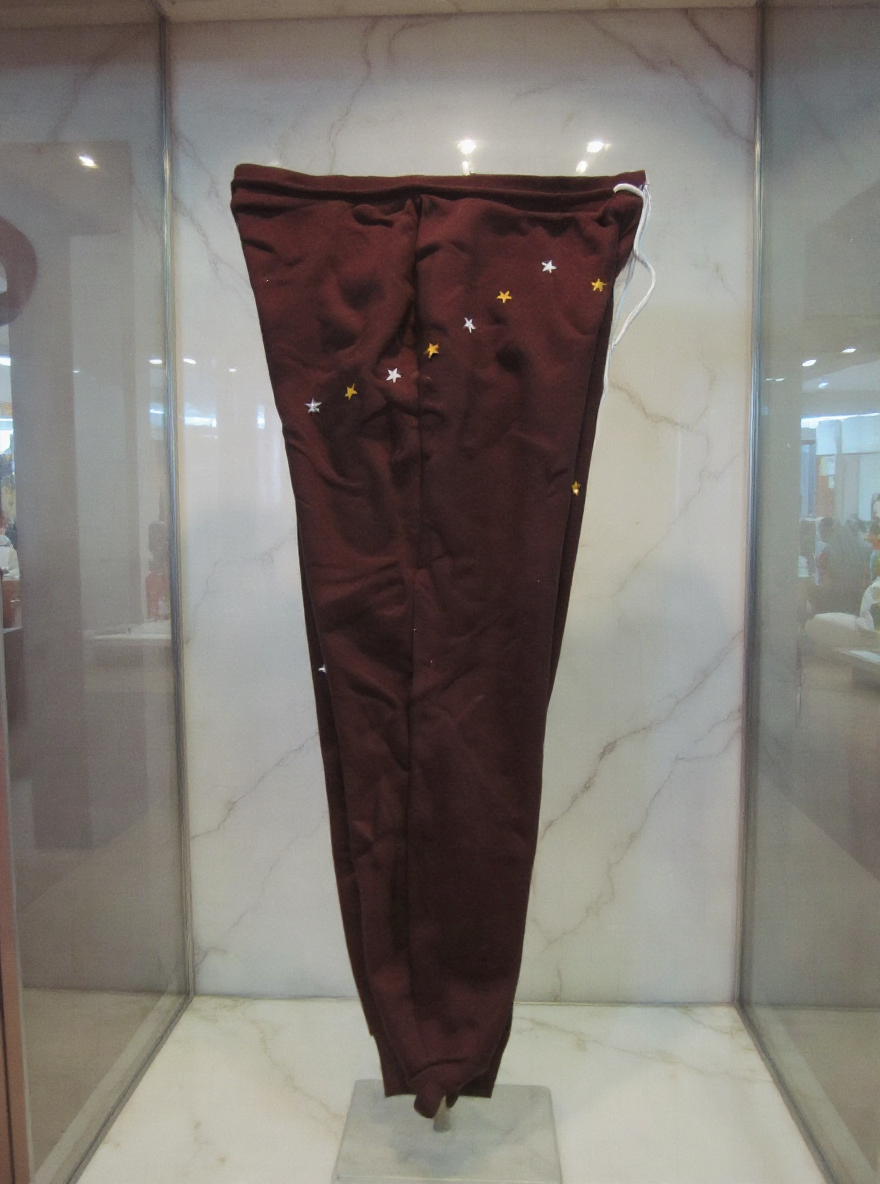 Jatini- One of one jogger pants