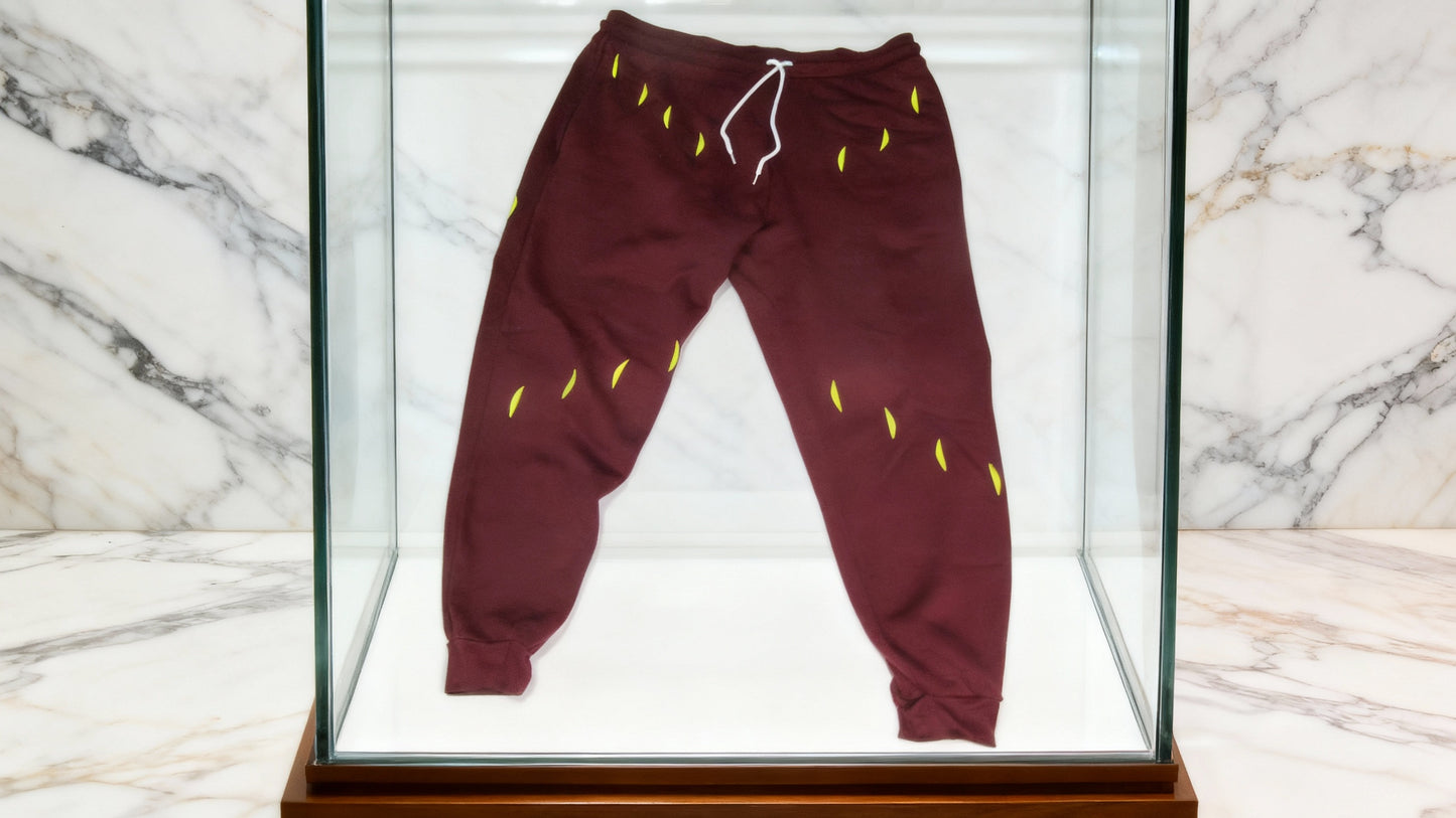 Jatini- One of one jogger pants