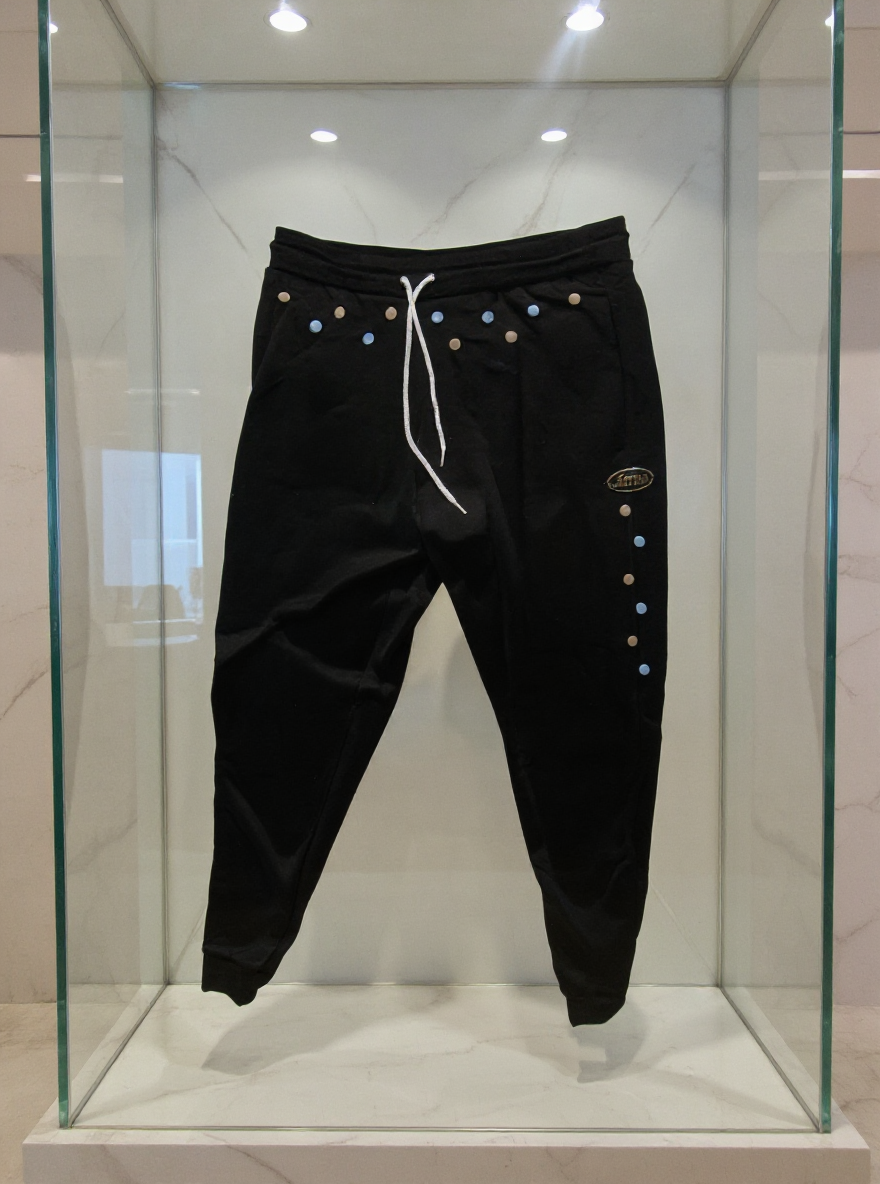 Jatini- One of one jogger pants